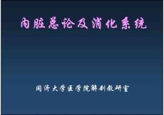 同济人体解剖学课件之内脏总论及消化系统