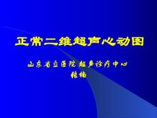 正常超声心动图 山东省立医院 超声诊疗中心