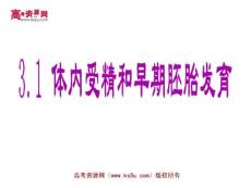 高中生物：选修3.1体内受精和早期胚胎发育课件