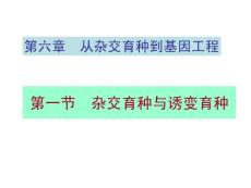 生物高中必修2第六章第一节杂交育种与诱变育种课件1