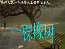 （西师大版）四年级语文上册课件 一棵橡树