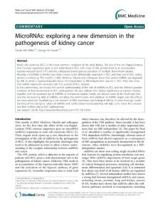 【miRNA 研究】MicroRNAs- exploring a new dimension in the pathogenesis of kidney cancer