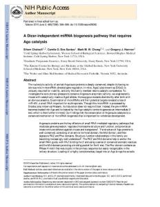 【miRNA 研究】A Dicer-independent miRNA biogenesis pathway that requires Ago catalysis