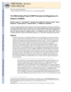 【miRNA 研究】The RNA-binding Protein KSRP Promotes the Biogenesis of a Subset of miRNAs
