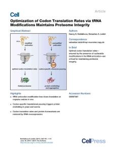 Optimization of Codon Translation Rates via tRNA Modifications Maintains Proteome Integrity