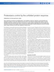 Proteostasis control by the unfolded protein response