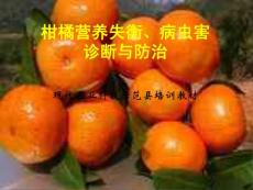 柑橘营养失衡、病虫害诊断与防治