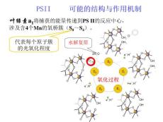 无机化学专题课件（全）@北师大_部分6