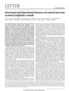 Structural and functional features of central nervous system lymphatic vessels