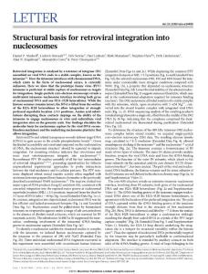 Structural basis for retroviral integration into nucleosomes