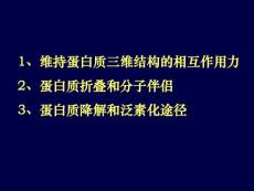 生物化学理论课课件/05蛋白质作用力折叠和进化2009