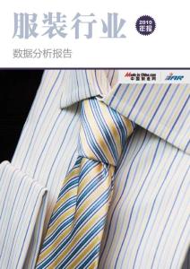 服装行业数据分析报告——2010年报