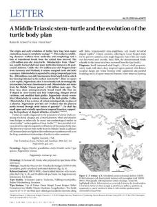 A Middle Triassic stem-turtle and the evolution of the turtle body plan