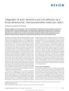 ncb3191_Integration of actin dynamics and cell adhesion by a three-dimensional, mechanosensitive molecular clutch