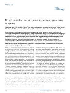ncb3207_NF-κB activation impairs somatic cell reprogramming in ageing