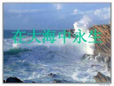 《在大海中永生》ppt课件5