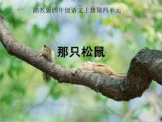 《那只松鼠》课件（湘教版四年级上册语文课件）