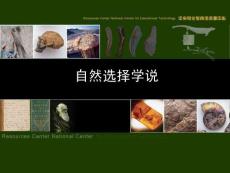 八年级下学期__ 第七单元 第三章 第三节 生物进化的原因1中学生物课件