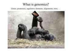 基因组学（genomics）