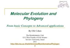 molecular evolution and phylogeny