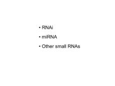 RNAi and miRNA