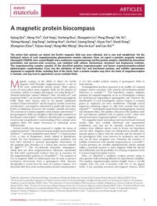 nmat4484-A magnetic protein biocompass
