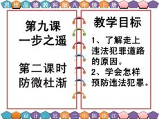 八年级思想品德教科版第九课——防微杜渐