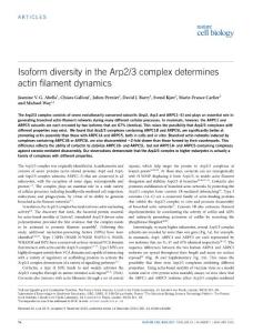 ncb3286-Isoform diversity in the Arp2-3 complex determines actin filament dynamics