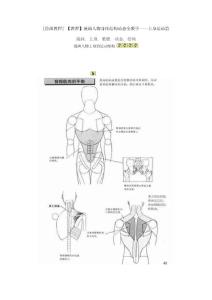 [绘画教程]_【教程】漫画人物身体结构动态全教学——上身运动篇