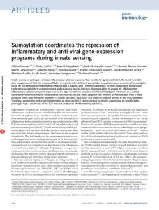 ni.3342-Sumoylation coordinates the repression of inflammatory and anti-viral gene-expression programs during innate sensing