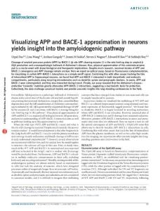 nn.4188-Visualizing APP and BACE-1 approximation in neurons yields insight into the amyloidogenic pathway