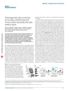 nn.4192-Chemogenetic disconnection of monkey orbitofrontal and rhinal cortex reversibly disrupts reward value