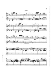 一步之遥小提琴二重奏 (2)