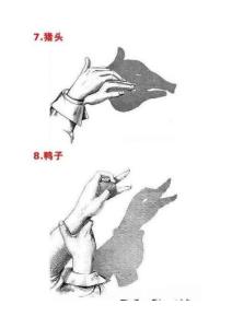 中国传统文化手影技术儿时玩耍玩法 (3)