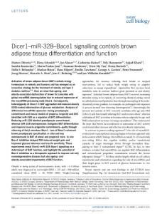 ncb3316-Dicer1–miR-328–Bace1 signalling controls brown adipose tissue differentiation and function