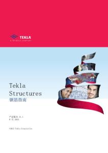Tekla Structures 21.1钢筋指南