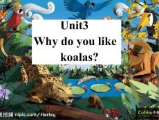 (go for it)新目标英语七年级课件Unit 3 Why do you like koalas[下学期]