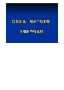 自主创新丶知识产权制度与知识产权战略