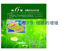 生物：6.1《细胞的增殖》课件（新人教版必修1）(2)