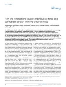 ncb3323-How the kinetochore couples microtubule force and centromere stretch to move chromosomes