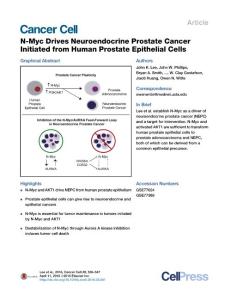Cancer Cell-2016-N-Myc Drives Neuroendocrine Prostate Cancer Initiated from Human Prostate Epithelial Cells