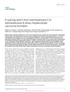 ncb3338-A splicing switch from ketohexokinase-C to ketohexokinase-A drives hepatocellular carcinoma formation
