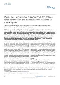ncb3336-Mechanical regulation of a molecular clutch defines force transmission and transduction in response to matrix rigidity