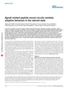 nn.4274-Agouti-related peptide neural circuits mediate adaptive behaviors in the starved state