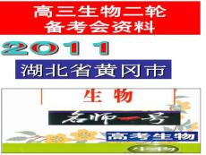 湖北省黄冈市2011届高三生物二轮备考会资料：动物生命活动的调节2.ppt