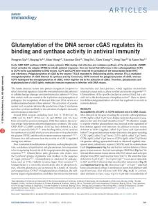 ni.3356-Glutamylation of the DNA sensor cGAS regulates its binding and synthase activity in antiviral immunity