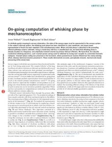 nn.4221-On-going computation of whisking phase by mechanoreceptors