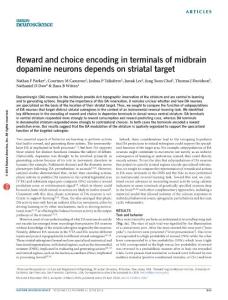 nn.4287-Reward and choice encoding in terminals of midbrain dopamine neurons depends on striatal target