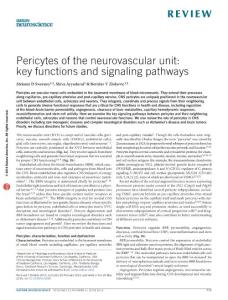 nn.4288-Pericytes of the neurovascular unit- key functions and signaling pathways