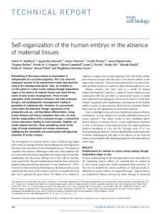 ncb3347-Self-organization of the human embryo in the absence of maternal tissues